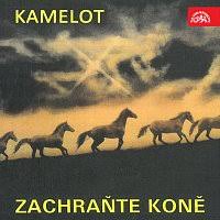 Roman Horký a Kamelot
