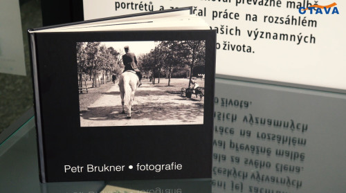 Petr Brukner